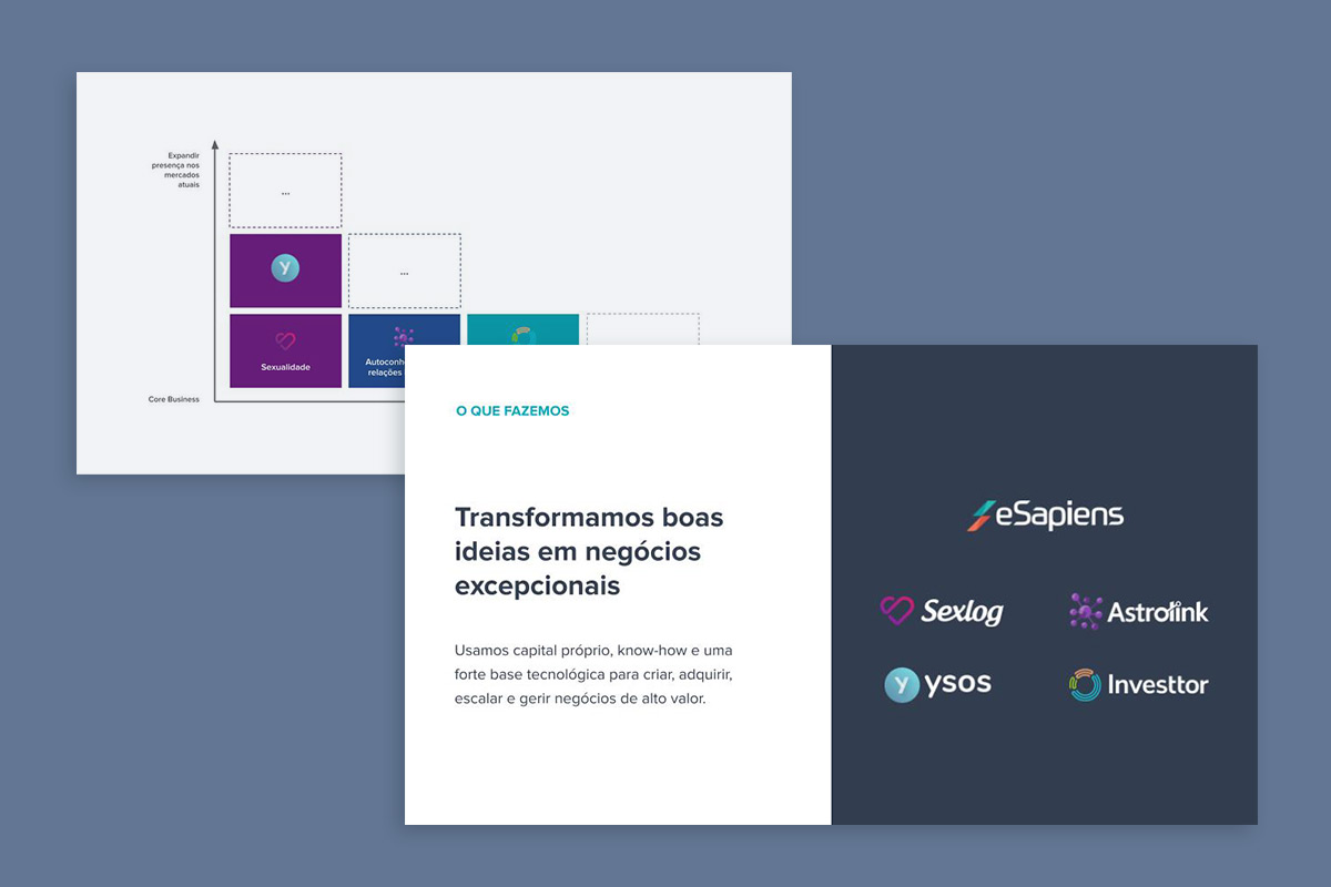 Strategy documentation: product portfolio management.